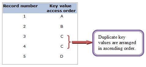 Duplicate Key access path